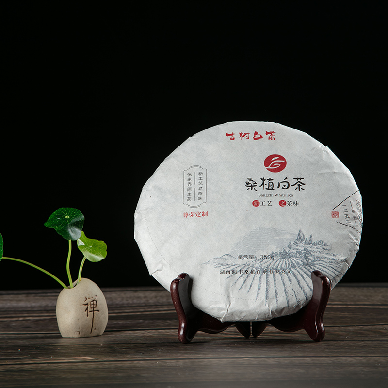 桑植白茶
